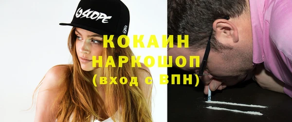 прущие грибы Балахна