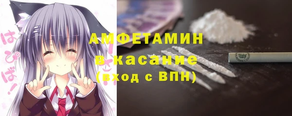 прущие грибы Балахна