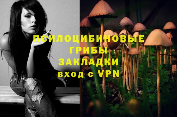 шишки Аркадак
