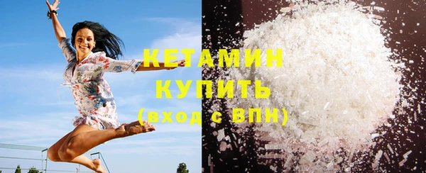 шишки Аркадак