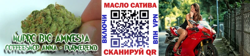 Дистиллят ТГК THC oil Артём