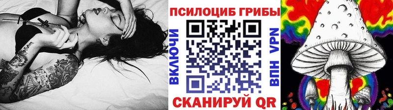 kraken tor  Артём  Галлюциногенные грибы Cubensis 